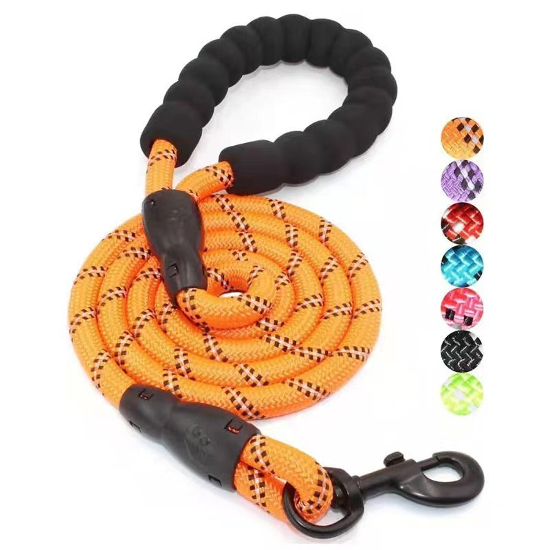 Fluro Color Nylon Dog Leash