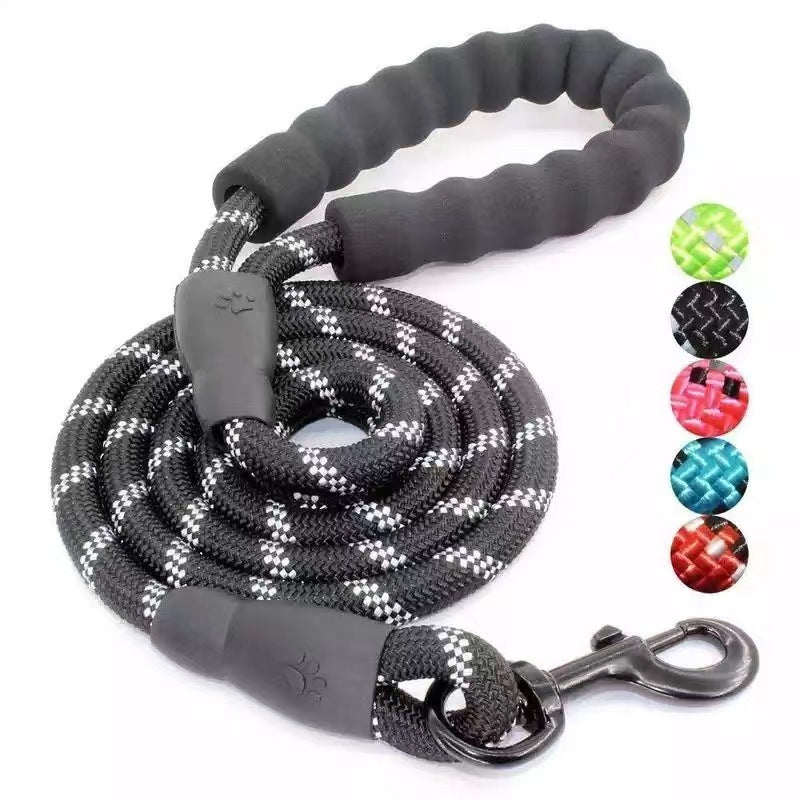 Fluro Color Nylon Dog Leash