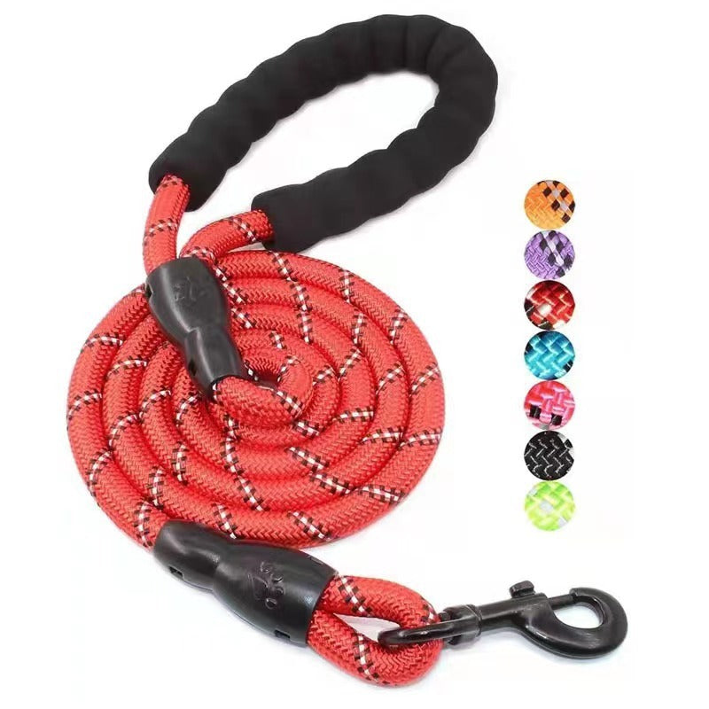 Fluro Color Nylon Dog Leash