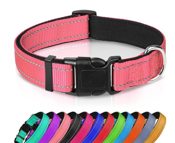 Adjustable Reflective Nylon Dog Collar