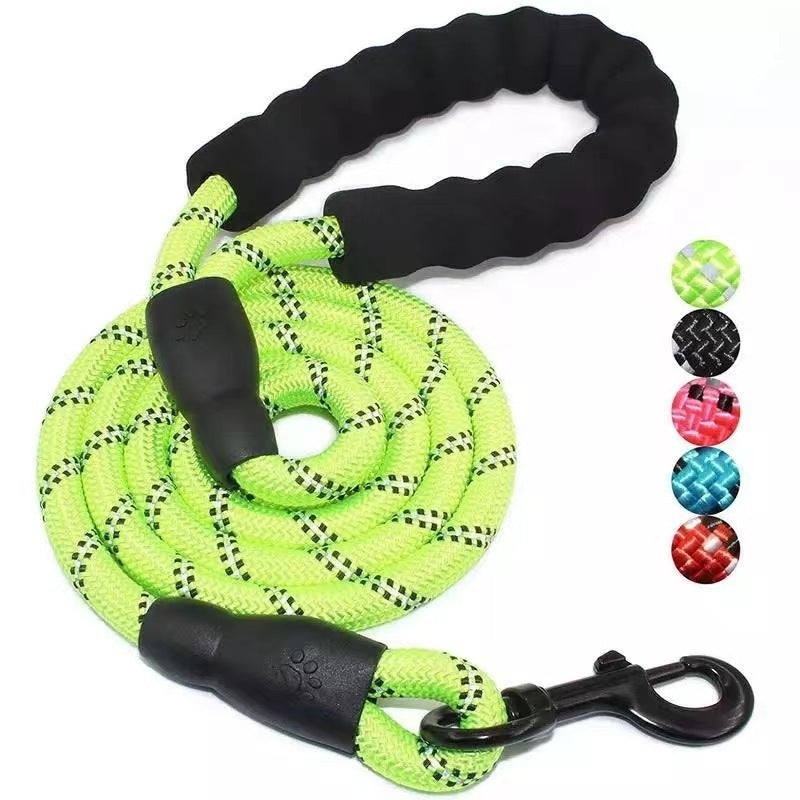 Fluro Color Nylon Dog Leash