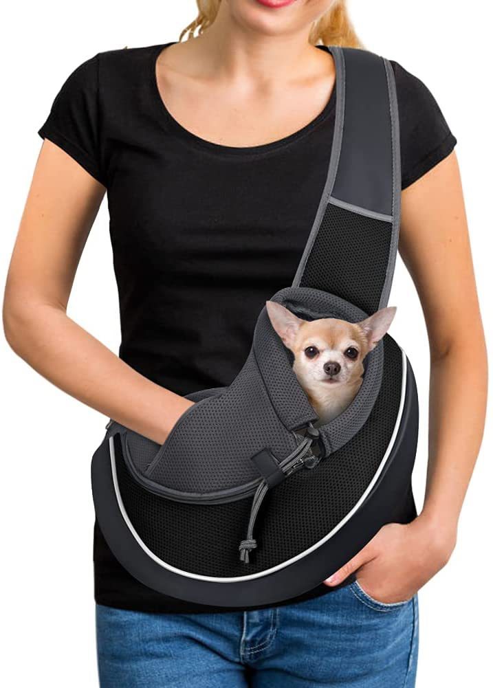 Portable Pet Carry Bag