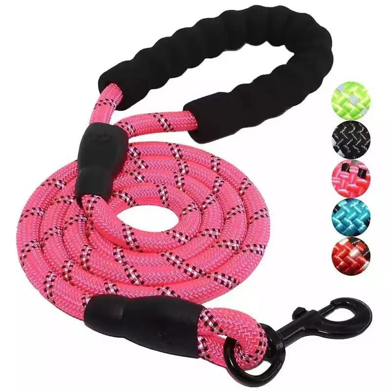 Fluro Color Nylon Dog Leash