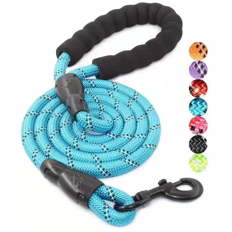 Fluro Color Nylon Dog Leash