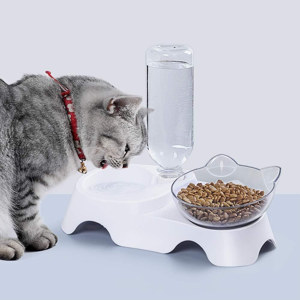 Double Dog Cat Bowls Pets Water And Food Bowl Set 15 Tilted Water And Food Bowl Set With Automatic Waterer Bottle For Small Or Medium Size Dogs Cats